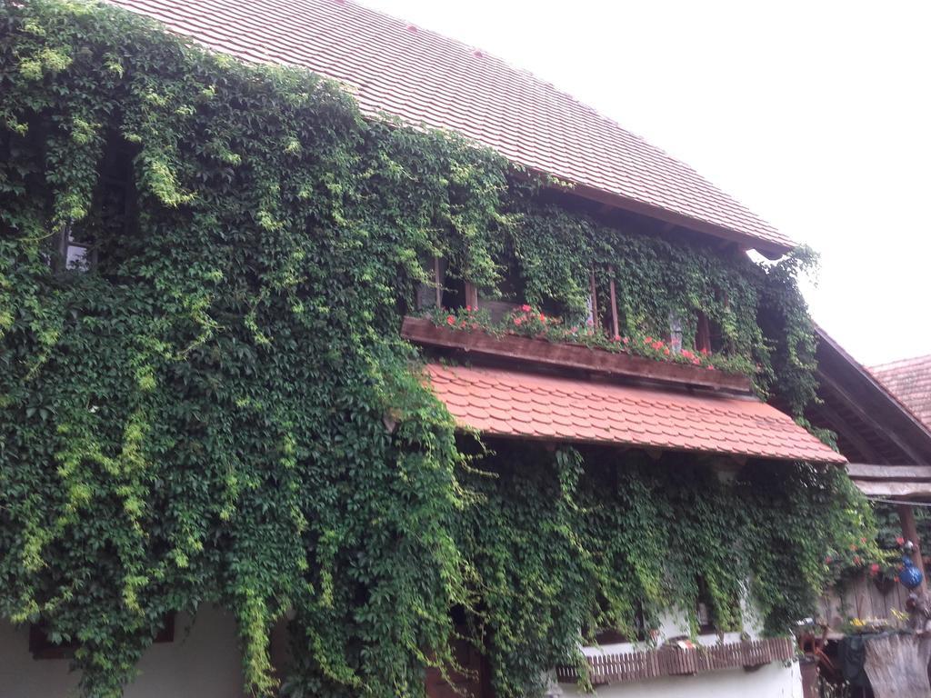 Rural Tourism Family Ravlic Guest House Muzilovcica Exterior foto