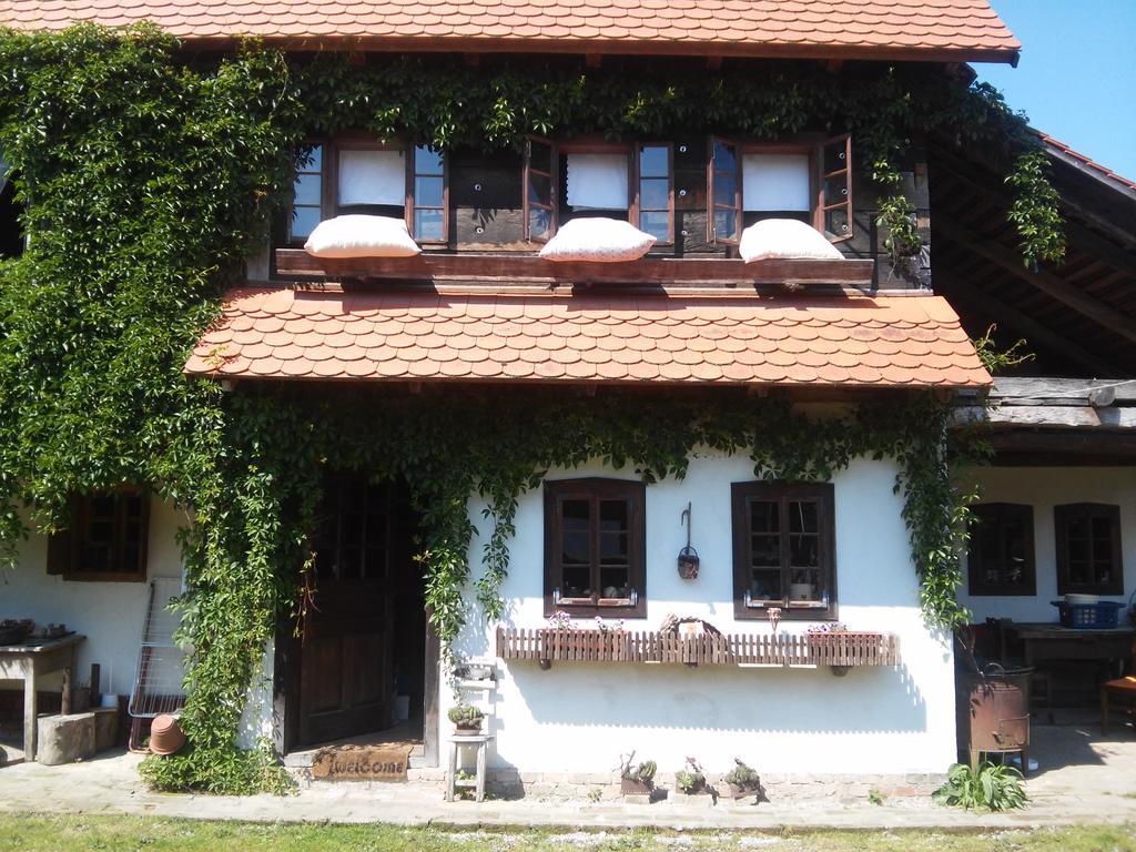 Rural Tourism Family Ravlic Guest House Muzilovcica Exterior foto